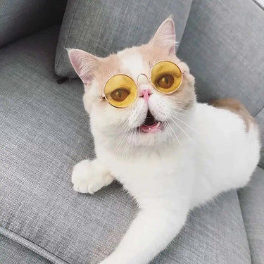 Lovely Vintage Round Pet Sunglasses, Small to Medium Dogs Cute Sunnies, Super Cute Heart Sunglasses for Tiny Dogs in pink or yellow, Sunglasses for Cats & Dogs, Cute Pet Sunglasses 25